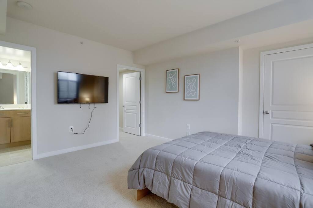 Bright And Cozy Apartment Near Pentagon City Arlington Exterior photo